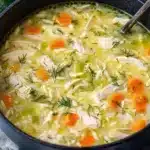 Creamy Chicken and Orzo Soup with Fresh Dill 2 creamy chicken and orzo soup with fresh dill 2025 10 26 230124 150x150 1