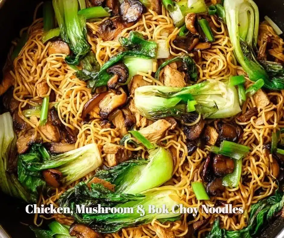 Chicken, Mushroom & Bok Choy Noodles 1 Delicious Chicken Noodles with mushrooms and bok choy in a bowl.