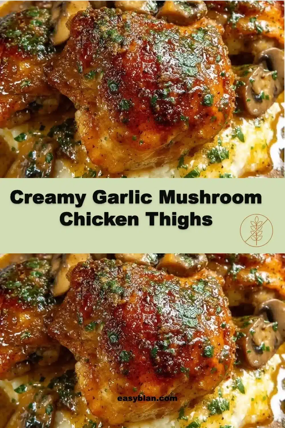 Creamy Garlic Mushroom Chicken Thighs 1 Creamy Garlic Mushroom Chicken Thighs cooked in a savory sauce.