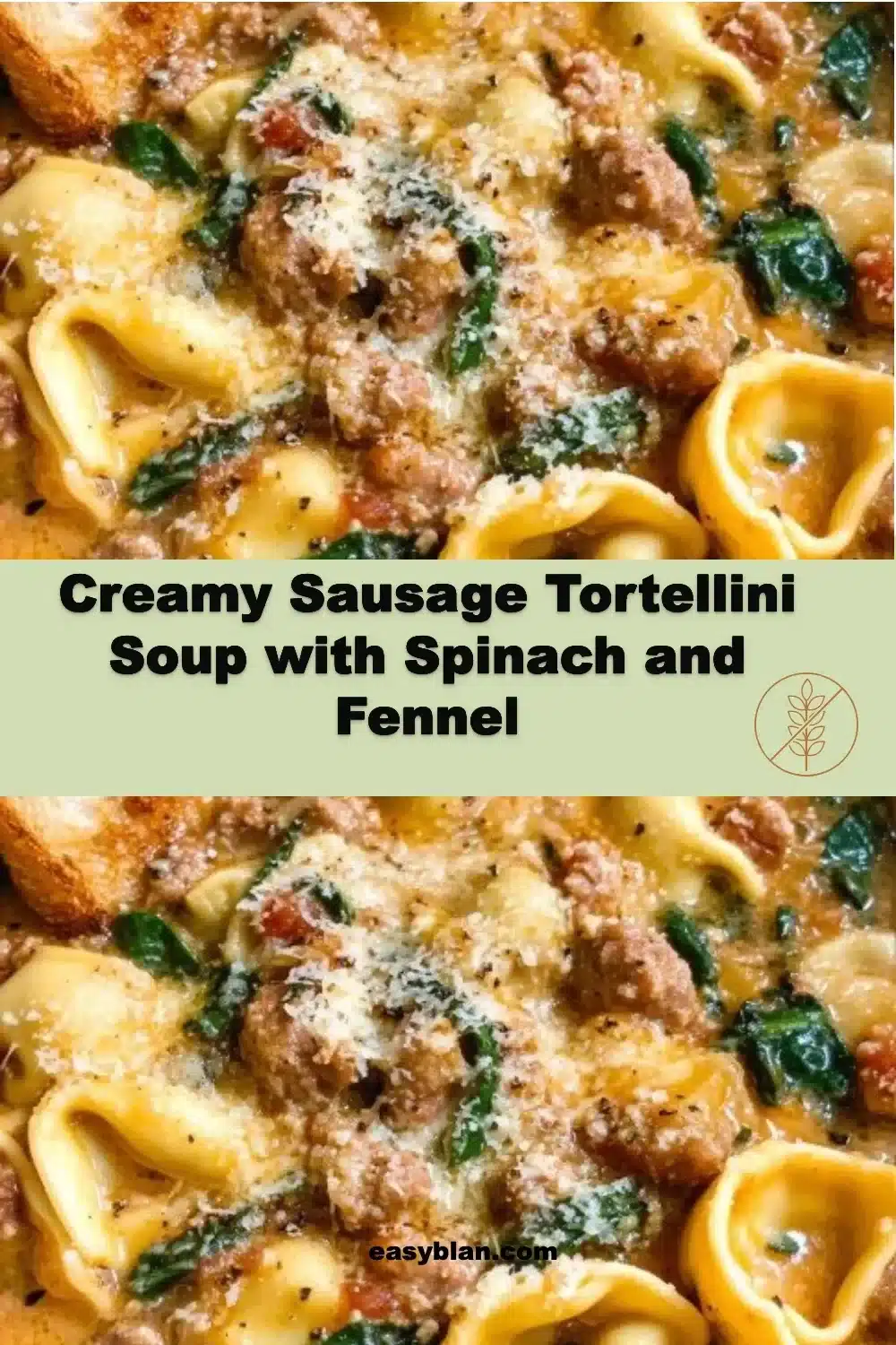 Creamy Sausage Tortellini Soup with Spinach and Fennel 1 Bowl of creamy sausage tortellini soup with spinach and fennel garnished with herbs.
