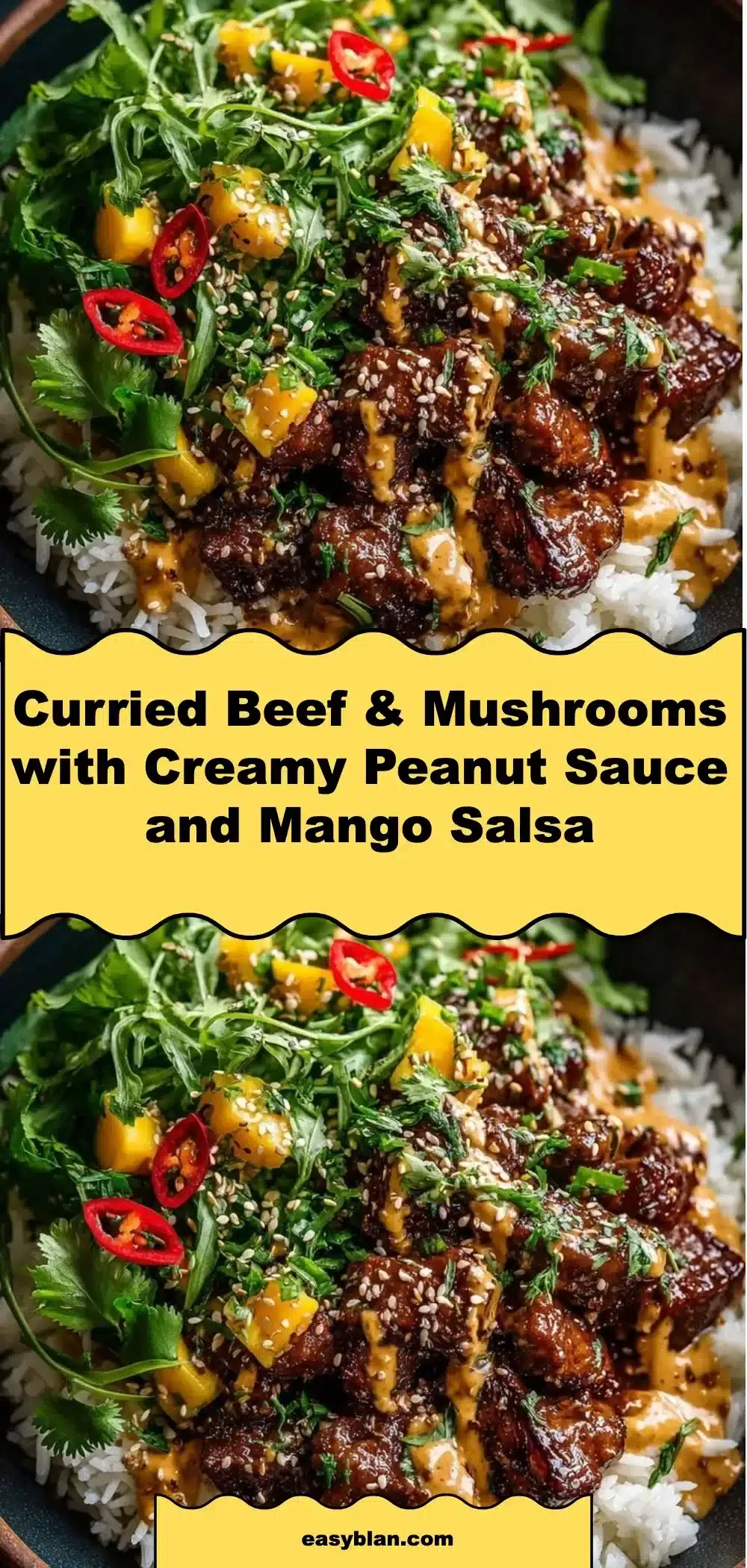 Curried Beef and Mushrooms served with creamy peanut sauce and mango salsa