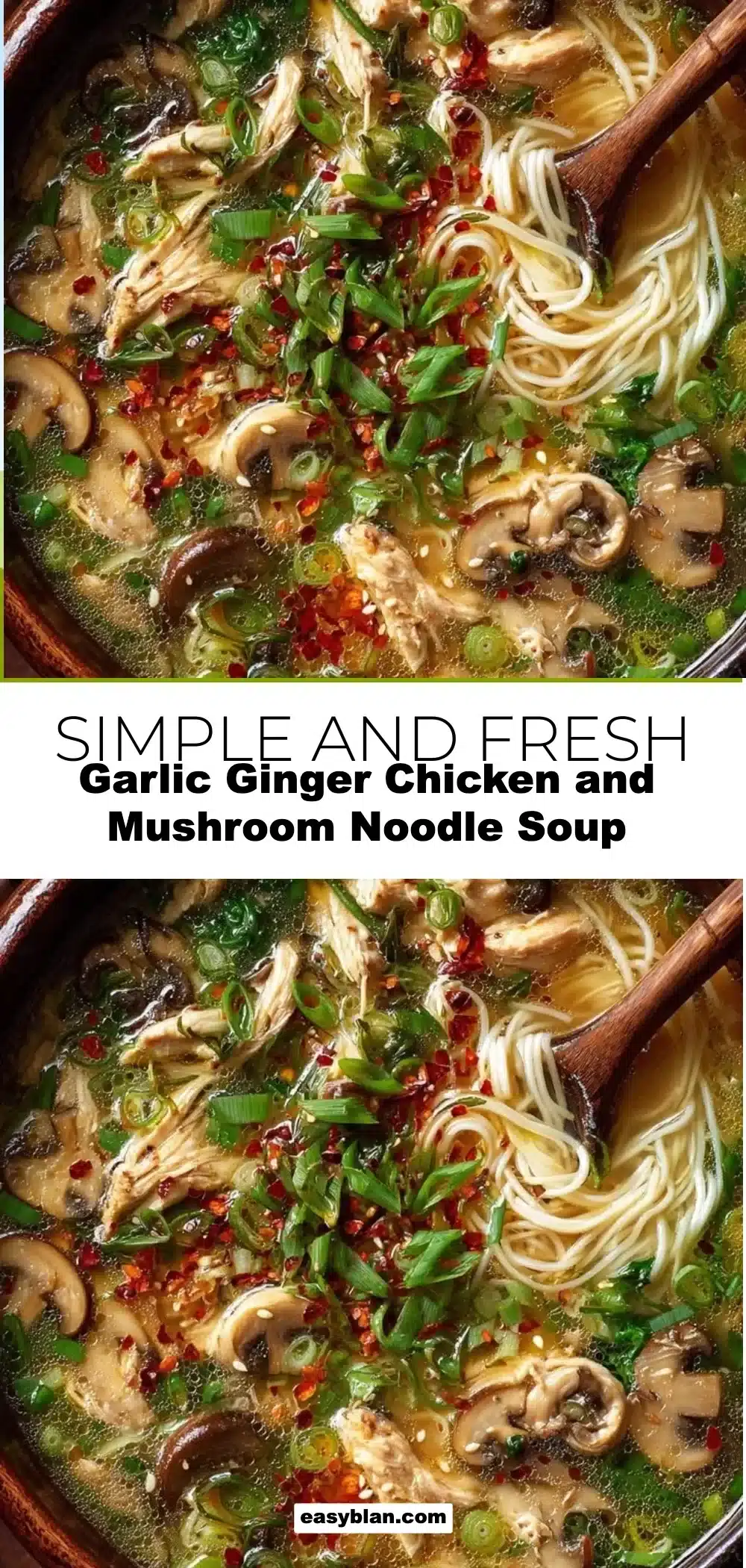 Garlic Ginger Chicken and Mushroom Noodle Soup 1 Garlic Ginger Chicken and Mushroom Noodle Soup in a bowl with fresh herbs