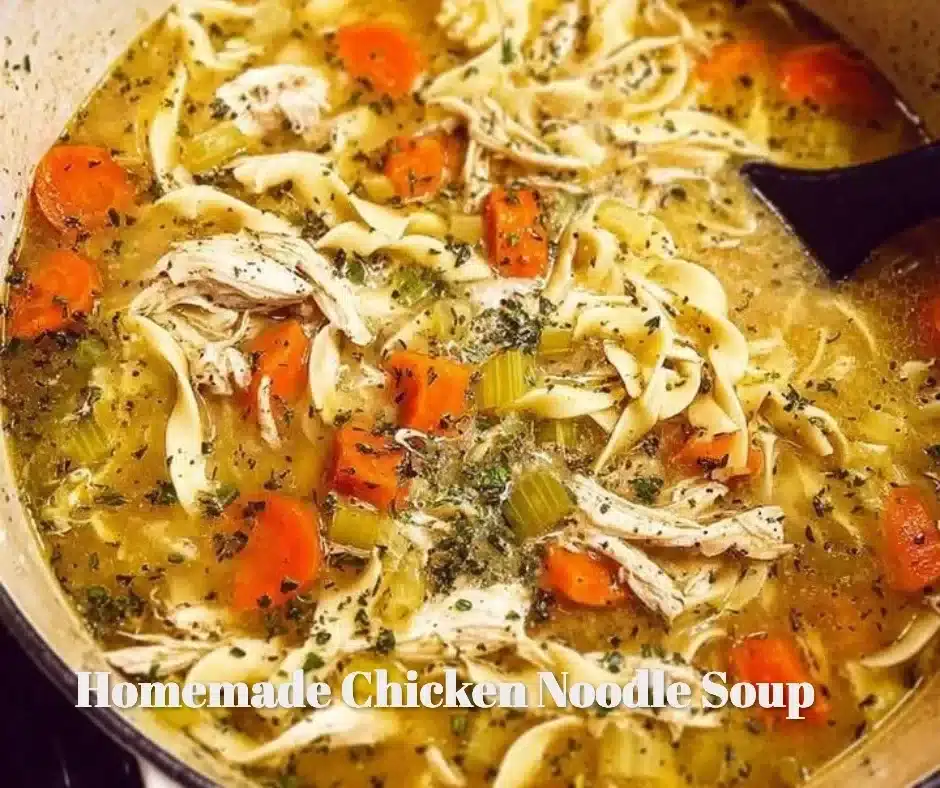 Homemade Chicken Noodle Soup 1 Bowl of homemade chicken noodle soup with fresh vegetables and noodles