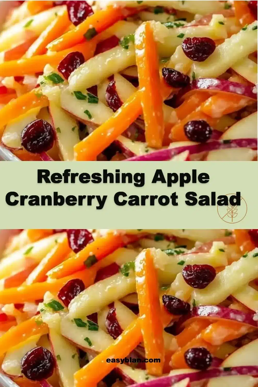 Refreshing Apple Cranberry Carrot Salad 1 Colorful Apple Cranberry Carrot Salad in a bowl with fresh ingredients.