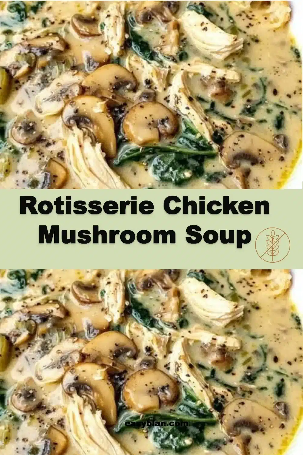 Rotisserie Chicken Mushroom Soup 1 Bowl of rotisserie chicken mushroom soup with fresh herbs and veggies