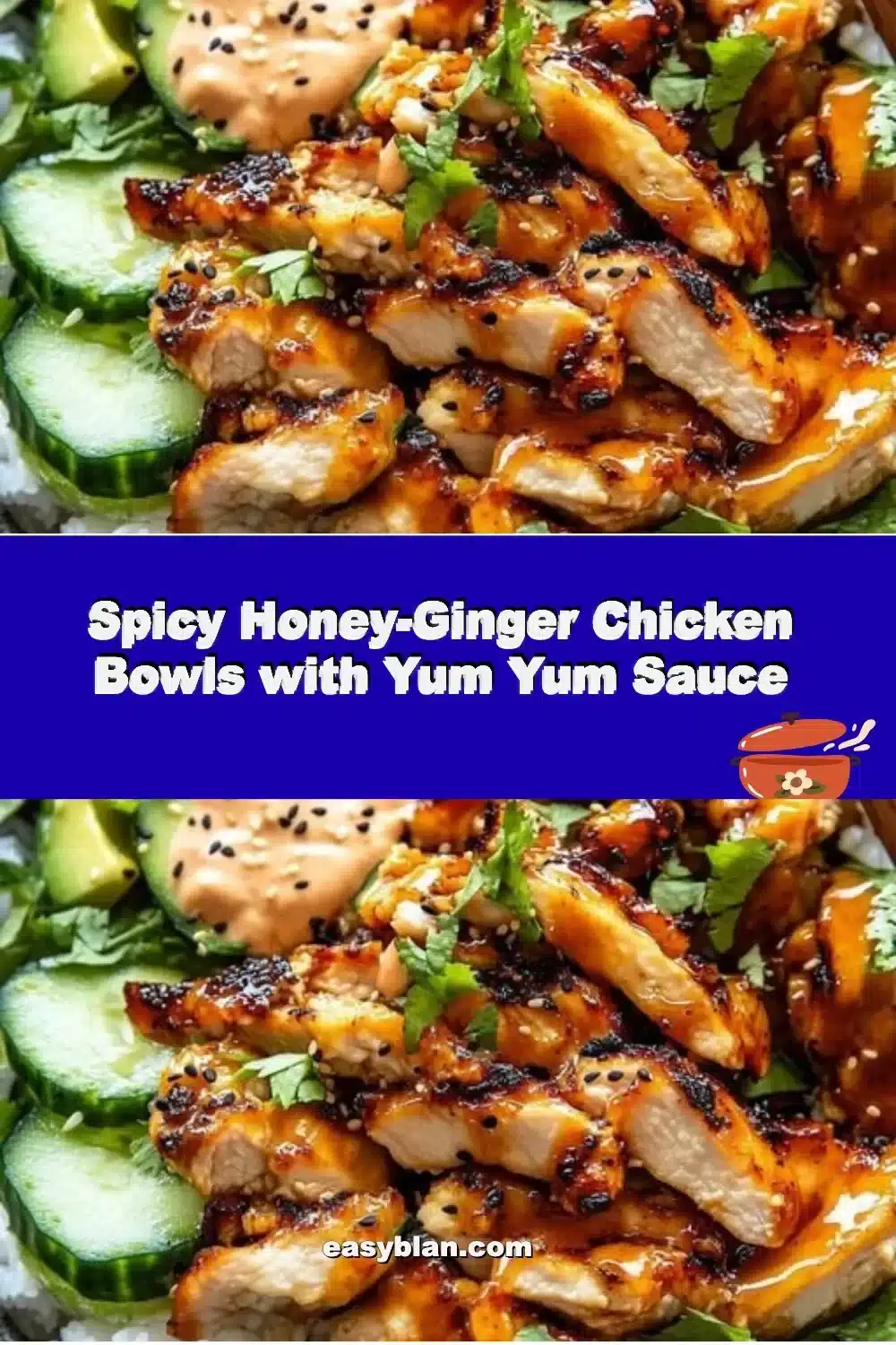 Spicy Honey-Ginger Chicken Bowls with Yum Yum Sauce 1 Spicy Honey-Ginger Chicken Bowls with Yum Yum Sauce on a plate