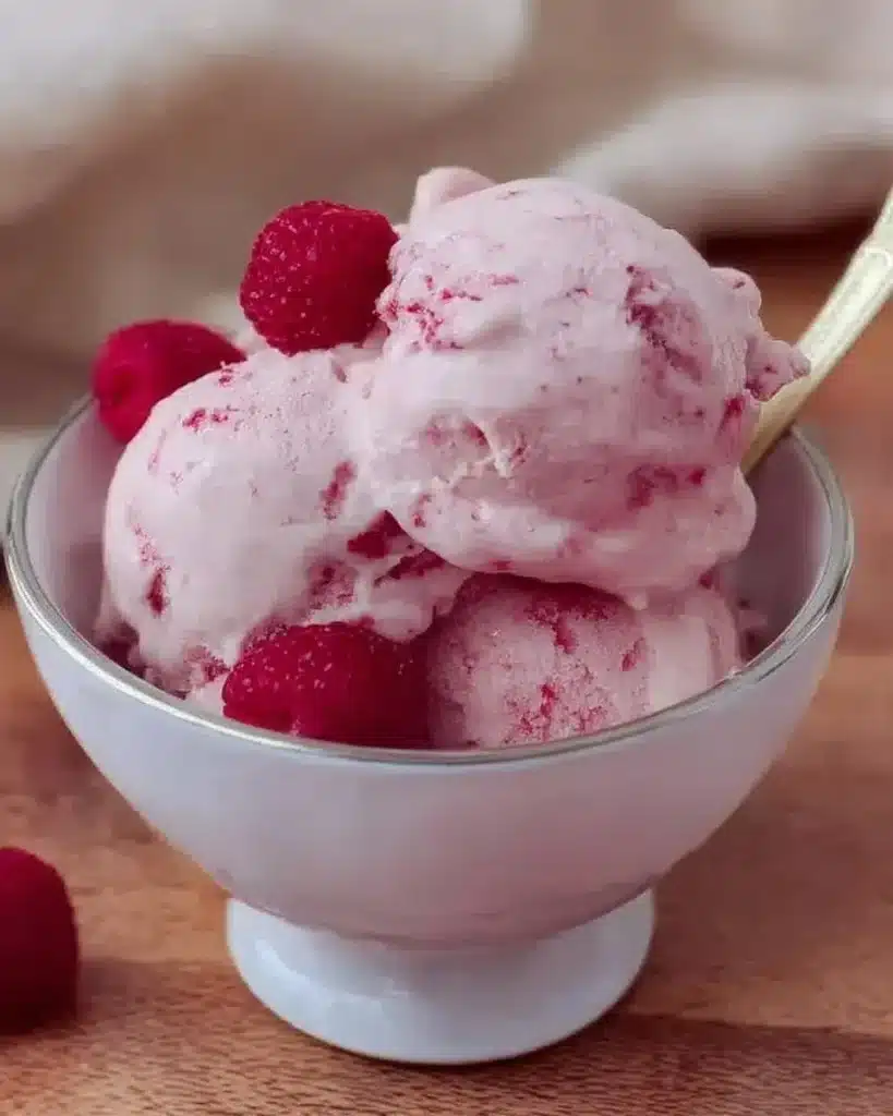 Ninja Creami Raspberry Protein Ice Cream in a bowl with raspberries