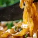 potsticker noodle bowl 2026 02 17 231503 1