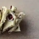 Yogurt Bark 2 yogurt bark 2026 02 18 001056 819x1024 1