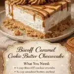 Biscoff Caramel Cookie Butter Cheesecake 2 biscoff caramel cookie butter cheesecake 2026 05 09 170328 683x1024 1