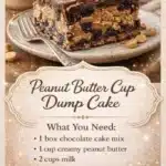 peanut butter cup dump cake 2026 05 09 170355 683x1024 1