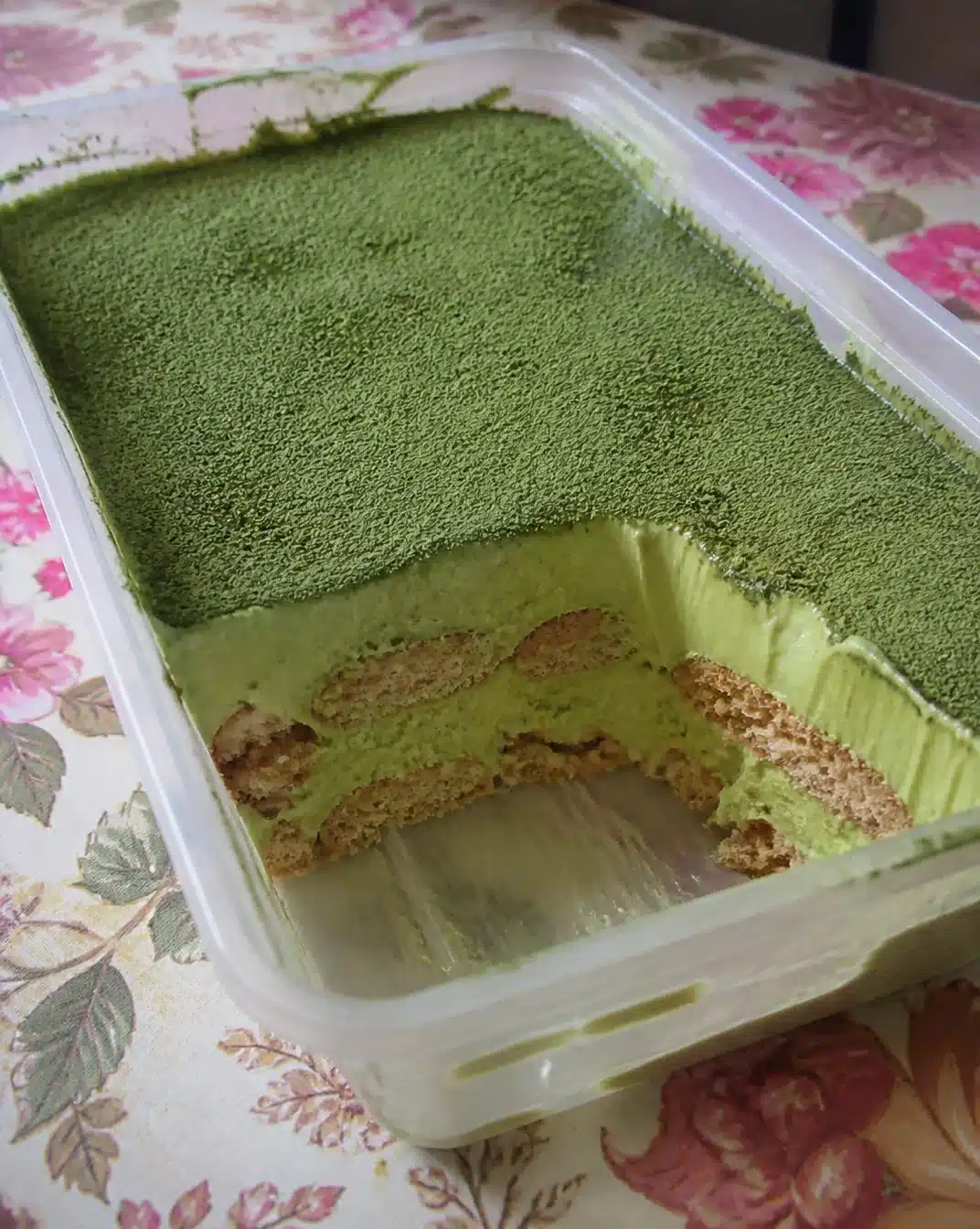 Delicious no-bake matcha dessert topped with green tea flakes and coconut