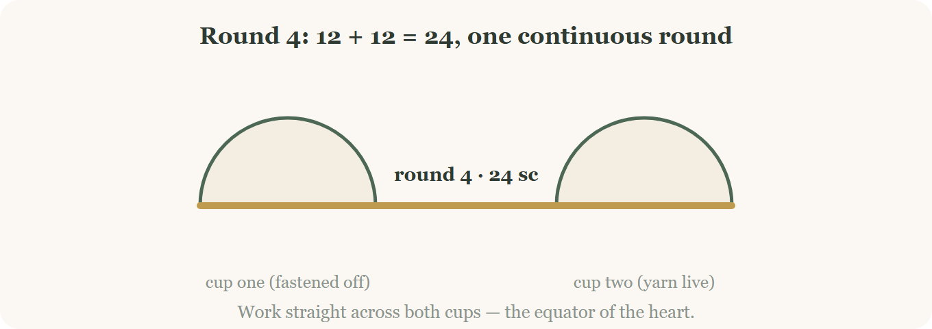 Joining both heart cups with one round of 24 single crochet