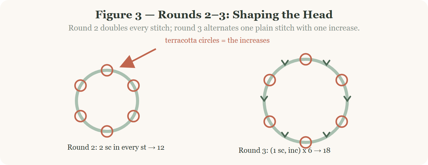 Increase rounds for an amigurumi octopus pattern, shaping the round head