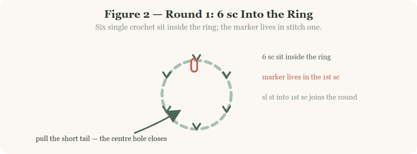 Round 1 of a crochet octopus pattern: six single crochet into the magic ring